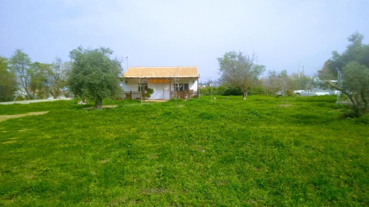 Casa De Campo Los Manueles Ideal Perros Pet Friendly Gojar Exterior photo