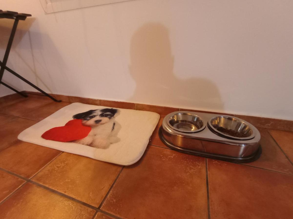 Casa De Campo Los Manueles Ideal Perros Pet Friendly Gojar Exterior photo