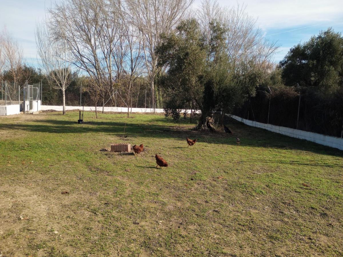 Casa De Campo Los Manueles Ideal Perros Pet Friendly Gojar Exterior photo
