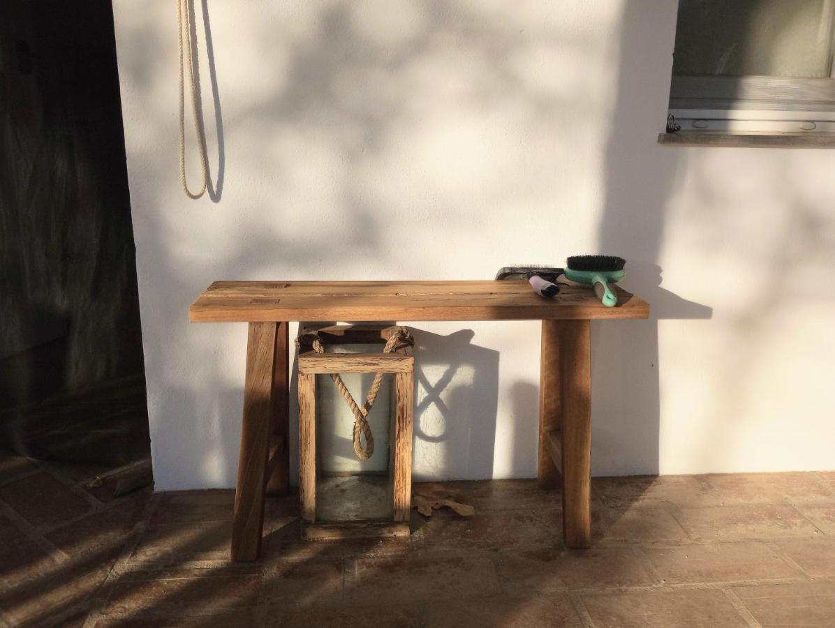 Casa De Campo Los Manueles Ideal Perros Pet Friendly Gojar Exterior photo