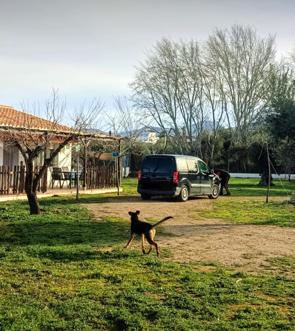 Casa De Campo Los Manueles Ideal Perros Pet Friendly Gojar Exterior photo